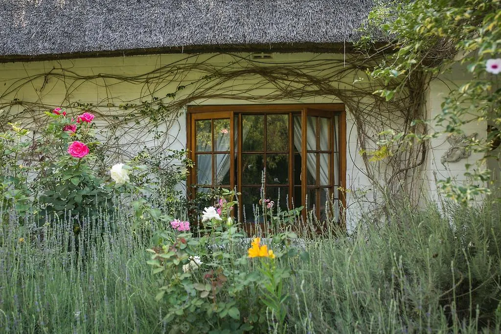 Grace Guest House-1